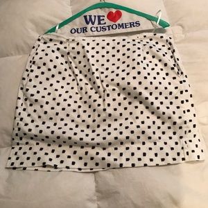 J Crew Skirt